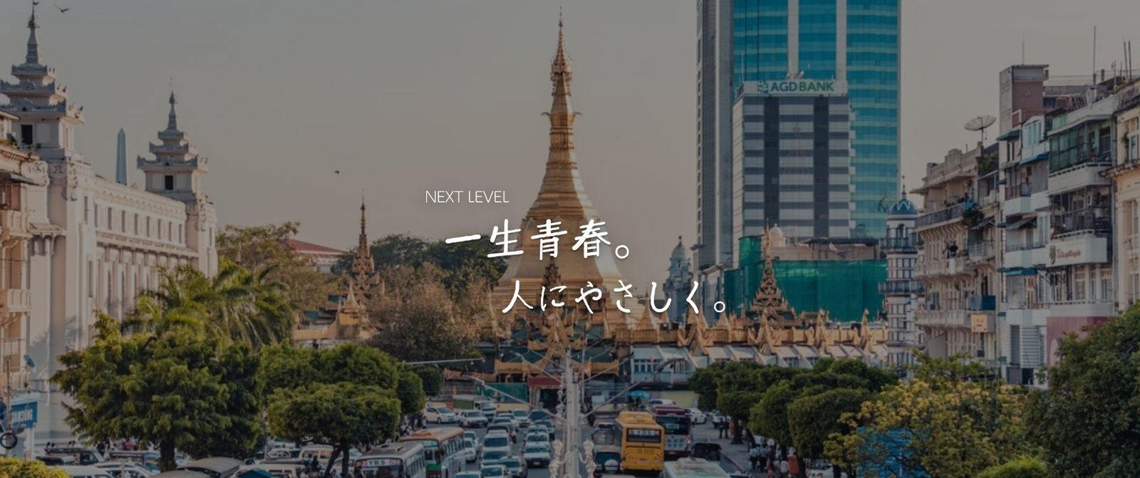 NL-DGの活動風景